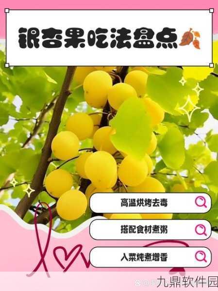 手游资讯,探寻银杏美食文化,诗礼银杏任务引领诗意盛宴