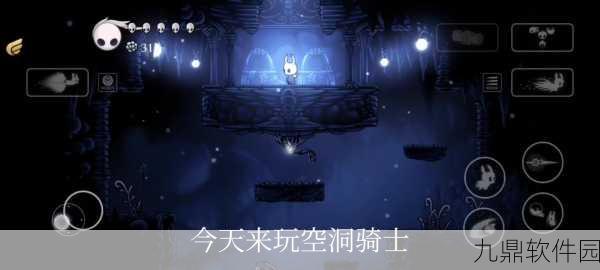 空洞骑士手柄无反应问题全面解析与解决方案