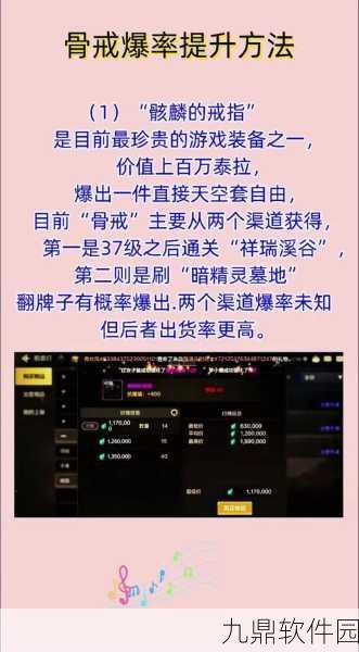 DNF手游新版本爆料，飘零之花属性大揭秘