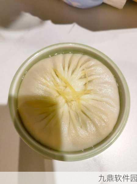 手游资讯,探索食物语中的蟹黄汤包——美味与实用的双重魅力