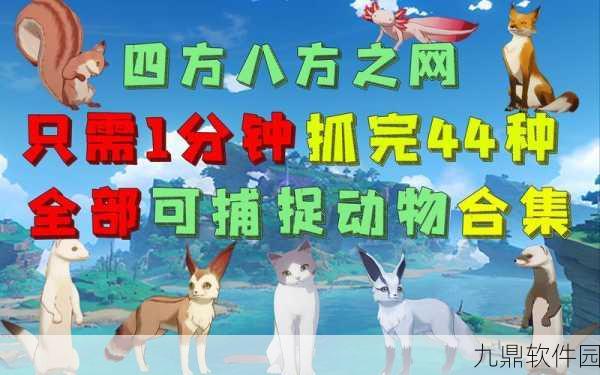 原神国际服四方八方之网获取攻略