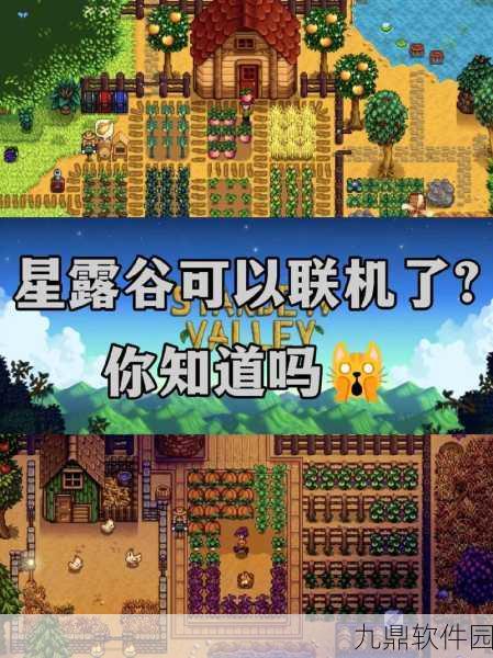星露谷物语手游资讯,轻松掌握联机刷物品技巧全攻略