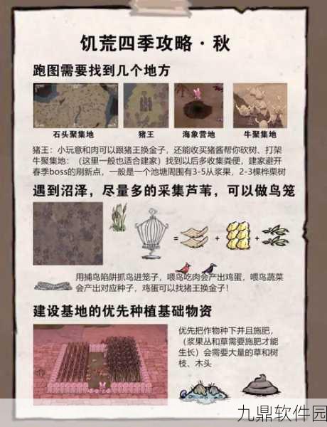 饥荒海滩地皮全解析，探索神秘岛屿的每一寸土地