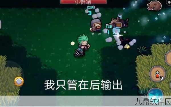 元气骑士银藏秘籍曝光,全面获取攻略助你驰骋游戏世界