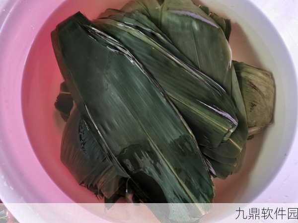 妄想山海粽子刷新位置大揭秘，带你探寻粽子的神秘所在