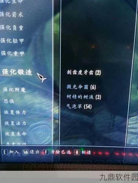 上古卷轴5秘籍代码揭秘，手游资讯深度解析