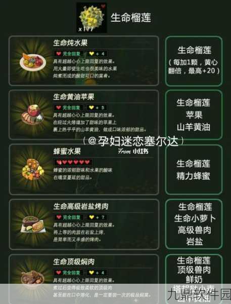 塞尔达传说，荒野之息料理系统深度解析，探索美食与冒险的奇妙融合