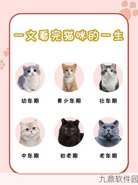 探索虚拟世界新奇事,我的世界中的猫咪繁衍与生育系统深度解析