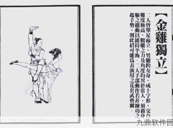 九阴手游兵录攻略全解析，助你成为武林高手