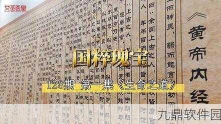 天命奇御手游资讯,深度解析内劲与护体的提升之道