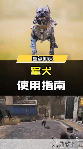 使命召唤手游军犬解锁攻略全解析