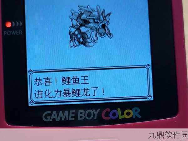 手游资讯,揭秘口袋妖怪绿宝石鲤鱼王进化等级