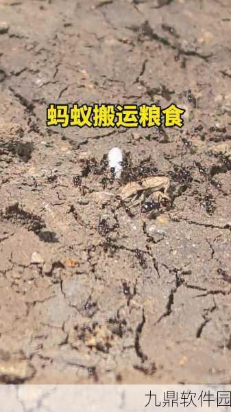 五只蚂蚁搬大米游戏，全新音乐节奏挑战燃爆指尖
