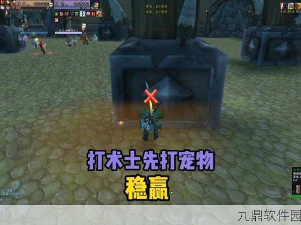 魔兽世界宠物对战插件,你的战斗新助手震撼上线!