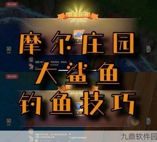 摩尔庄园手游银龙鱼垂钓指南，揭秘珍稀鱼类出没地点