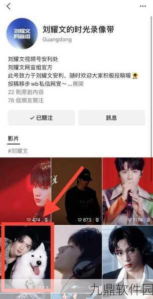 手游资讯,刘耀文代言爱情派对,劲舞团加油爱情派对卡功能揭秘