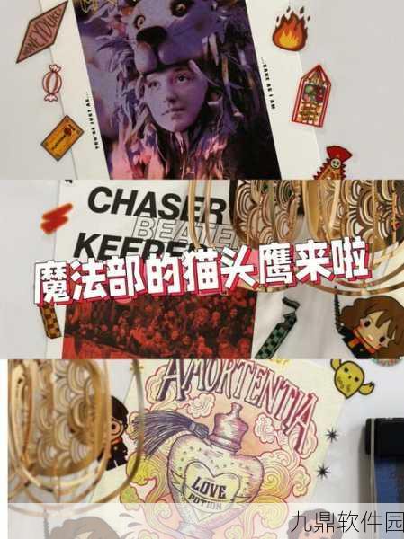 哈利波特魔法觉醒，猫头鹰角色深度揭秘——智慧与传递力量的象征