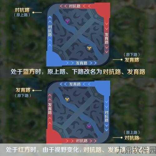 王者荣耀射手位置选择深度解析,上路还是下路?