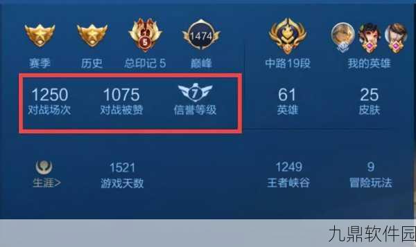 王者荣耀王者印记深度解析，实力的象征与荣耀的记录