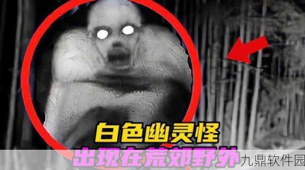 暮色森林探险新篇，稀有怪物幽灵震撼登场