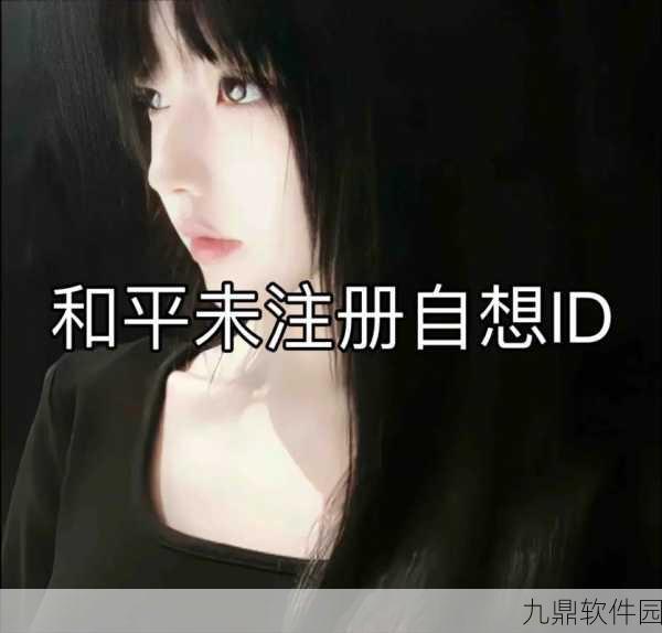 和平精英，探索高级Emo伤感ID背后的故事与独特魅力
