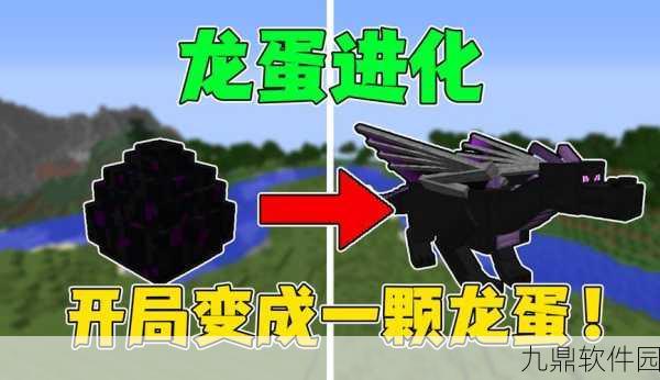 我的世界手游末影龙蛋孵化全攻略