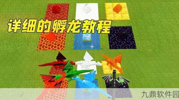 我的世界手游末影龙蛋孵化全攻略