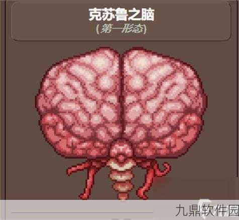 泰拉瑞亚，揭秘克苏鲁之脑的召唤与战斗详解