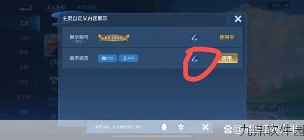 王者荣耀角色性别修改全攻略，轻松变换你的游戏身份