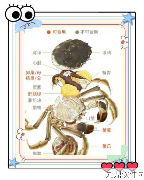 探索创造与魔法,大闸蟹烹饪秘籍解锁,全新美食体验等你来尝!