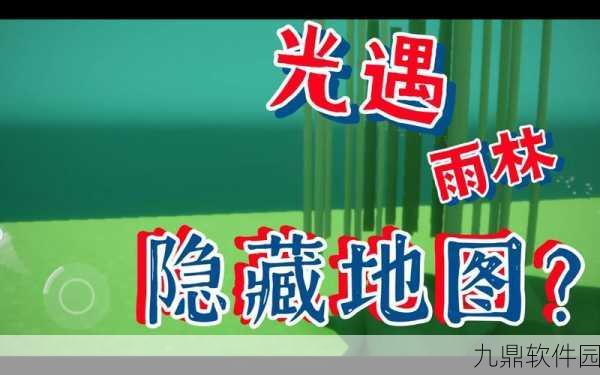 光遇雨林绿色光芒探索攻略，揭秘位置与技巧