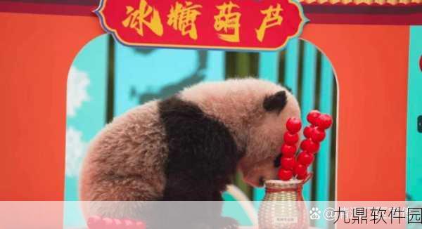 太极熊猫,冰霜凤凰震撼登场,开启冰寒新世界探险之旅