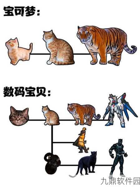 口袋妖怪数码宝贝汉化版进化表,完整指南与推荐策略