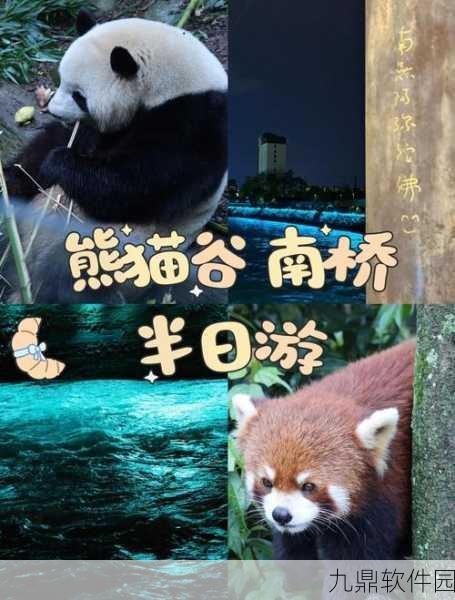 江湖熊猫手游预约开启,卡通休闲养成新体验等你来探索