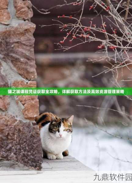 猫之城前期R卡培养与资源高效利用攻略