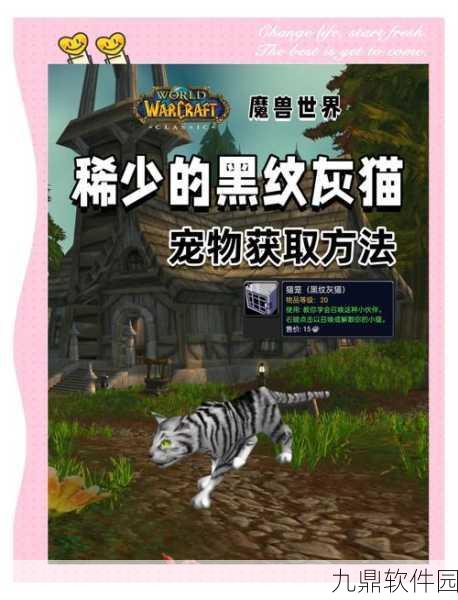 魔兽世界手游资讯,揭秘稀有宠物白猫的踪迹