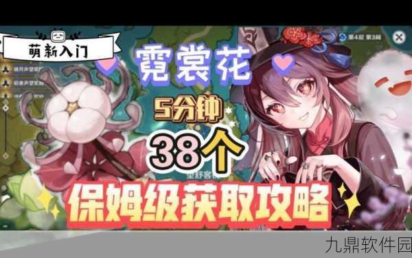 原神霓裳花采集全攻略,解锁角色突破材料的关键