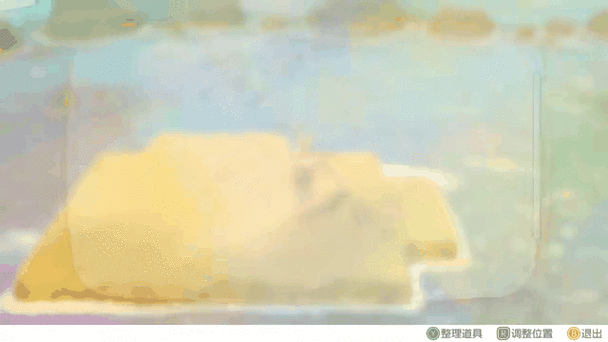 口袋妖怪永恒之焱XYZ神兽版一之岛探险全攻略