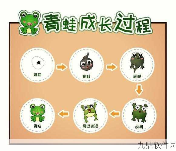旅行青蛙三叶草生长周期及无限加速获取技巧揭秘