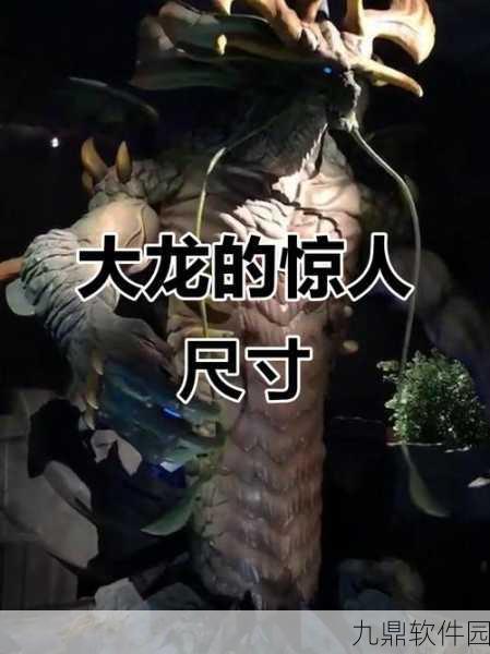王者荣耀深度解析，大龙与小龙的奥秘与区别