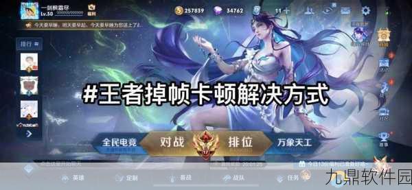 手游资讯,王者荣耀高帧率模式对手机影响深度解析