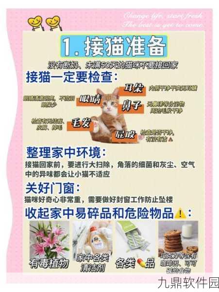 手游资讯,小森生活中的猫咪时尚指南——全面探索猫咪衣物获取途径