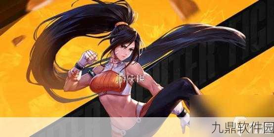 DNF格斗家职业全面解析，各职业独特优点揭晓