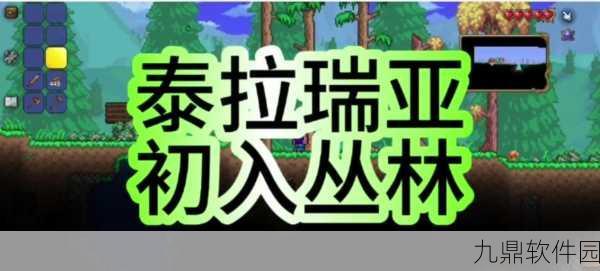 泰拉瑞亚手游资讯，揭秘大自然的恩赐获取方法