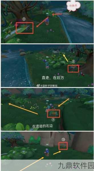 摩尔庄园手游黑森林宝箱位置全揭秘
