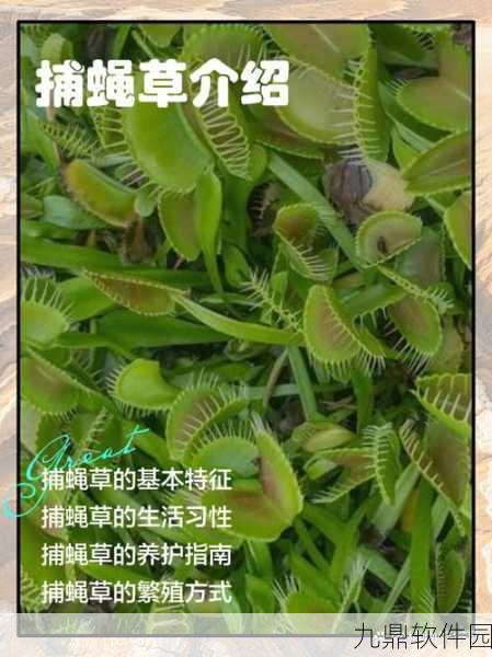 手游资讯，妄想山海捕蝇草种植全攻略独家揭秘