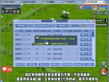 手游资讯，揭秘梦幻西游牧场白犀牛养殖之谜与高脂饲料在降血脂实验中的应用