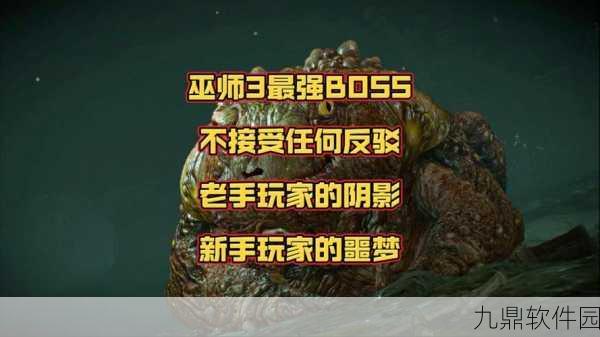 手游资讯,火炬之光幽鬼巫师BOSS高效击败策略深度解析