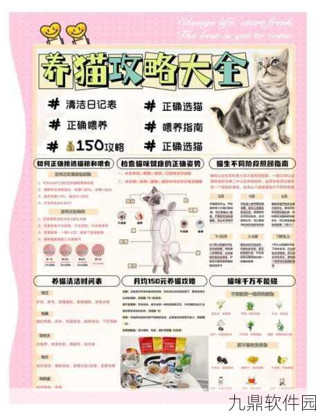 一起来捉妖手游,解锁养猫秘籍,萌宠相伴乐无边