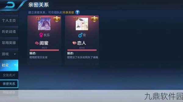 王者荣耀为何新增隐藏亲密关系功能，深度解析与玩家反响